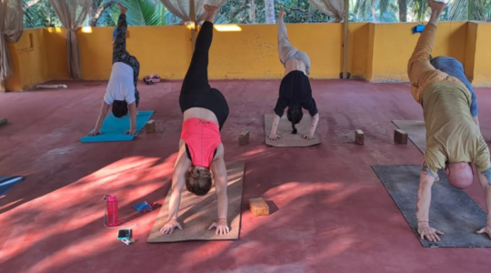 Home 15 agastya yoga