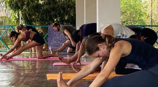 Home 17 indian yoga school image