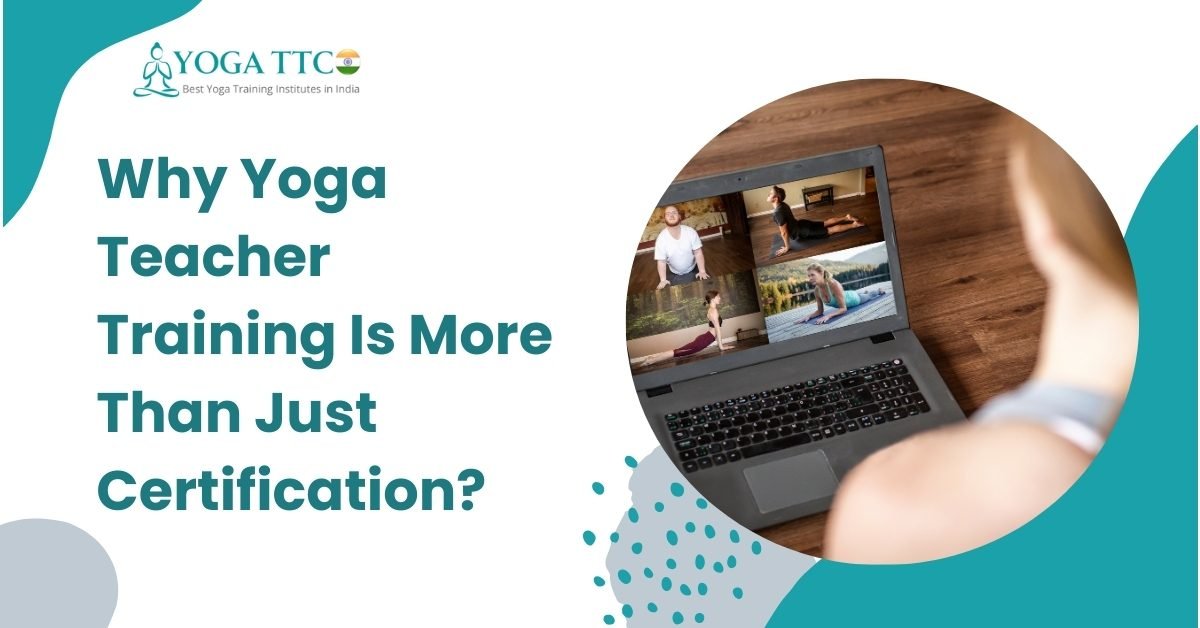 Why Yoga Teacher Training Is More Than Just Certification?